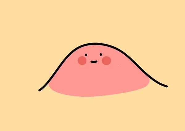 1513911697375065.jpg 1.jpg