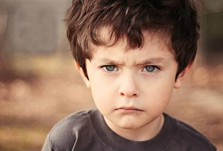 兰希黎，您身边的植物