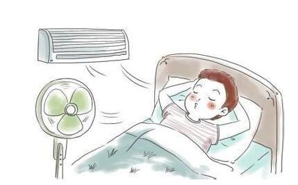 兰希黎，您身边的植物