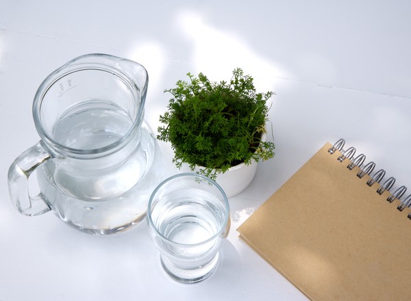 兰希黎，您身边的植物