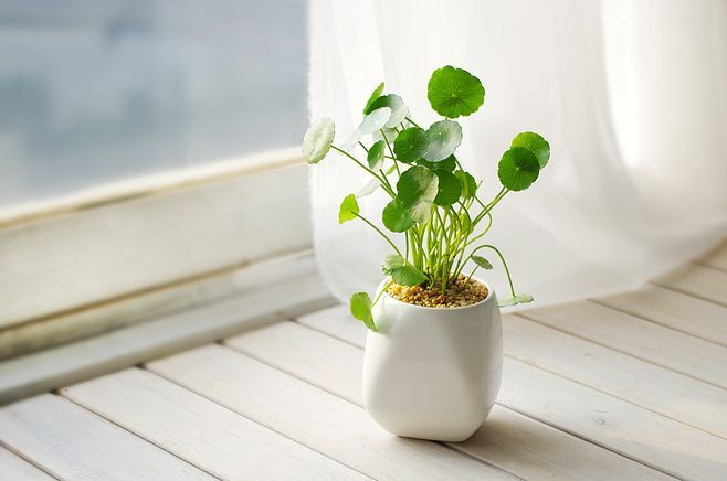 夏季肌肤缺水，教你轻松如何解决~